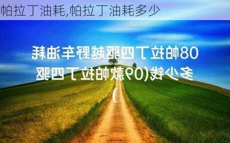 帕拉丁油耗,帕拉丁油耗多少