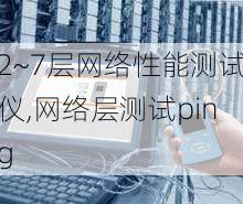 2~7层网络性能测试仪,网络层测试ping