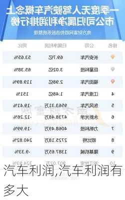 汽车利润,汽车利润有多大