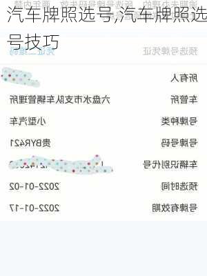 汽车牌照选号,汽车牌照选号技巧