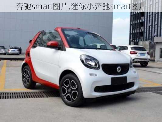 奔驰smart图片,迷你小奔驰smart图片