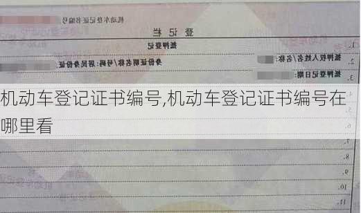 机动车登记证书编号,机动车登记证书编号在哪里看