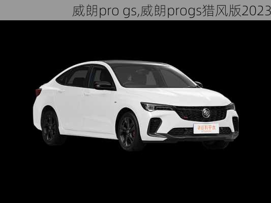 威朗pro gs,威朗progs猎风版2023