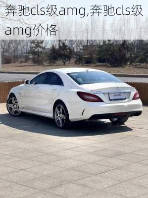 奔驰cls级amg,奔驰cls级amg价格