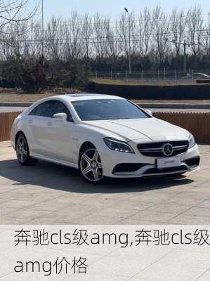 奔驰cls级amg,奔驰cls级amg价格