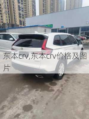 东本crv,东本crv价格及图片