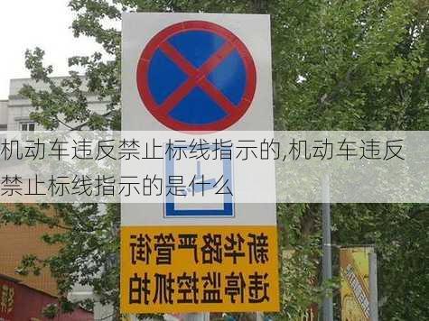 机动车违反禁止标线指示的,机动车违反禁止标线指示的是什么