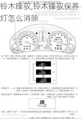 铃木锋驭,铃木锋驭保养灯怎么消除