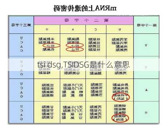 tsi dsg,TSIDSG是什么意思