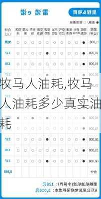 牧马人油耗,牧马人油耗多少真实油耗