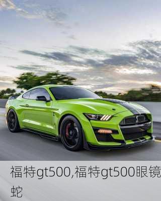 福特gt500,福特gt500眼镜蛇