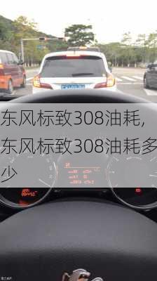 东风标致308油耗,东风标致308油耗多少