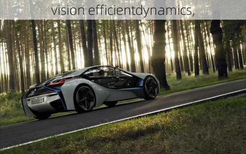 vision efficientdynamics,