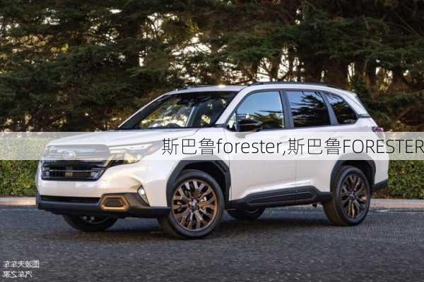 斯巴鲁forester,斯巴鲁FORESTER