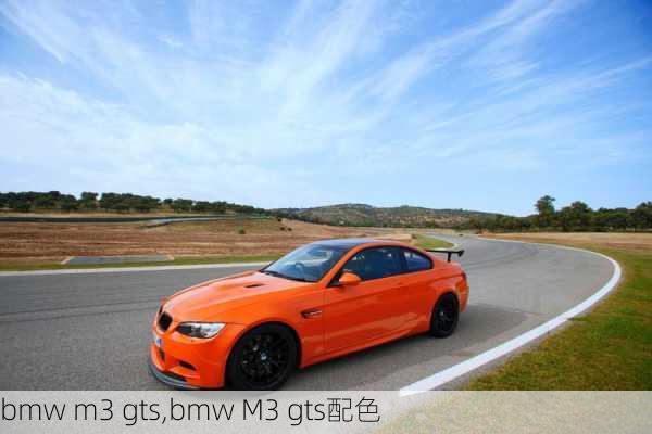 bmw m3 gts,bmw M3 gts配色