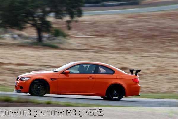 bmw m3 gts,bmw M3 gts配色