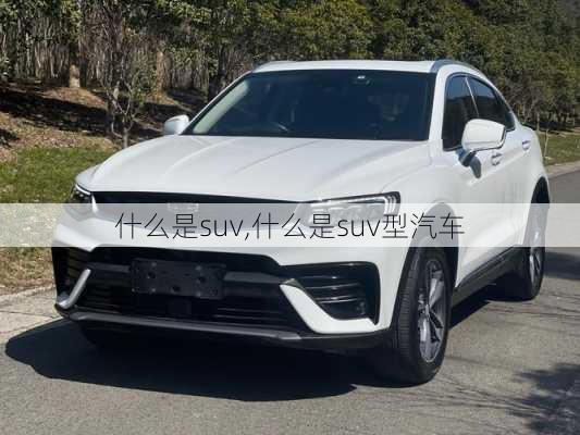 什么是suv,什么是suv型汽车