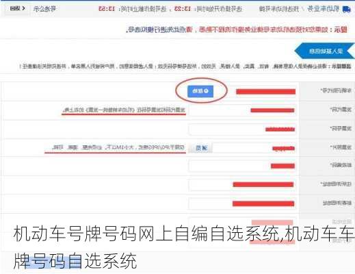 机动车号牌号码网上自编自选系统,机动车车牌号码自选系统