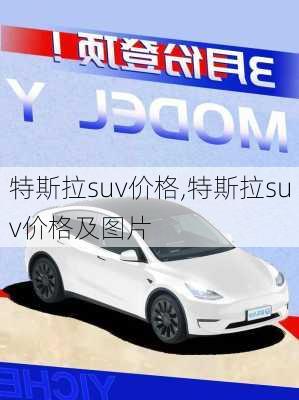 特斯拉suv价格,特斯拉suv价格及图片