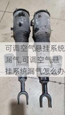 可调空气悬挂系统漏气,可调空气悬挂系统漏气怎么办