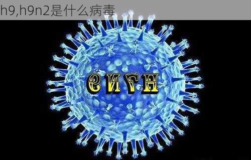 h9,h9n2是什么病毒