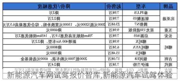 新能源汽车网试驾报价智库,新能源汽车试驾体验