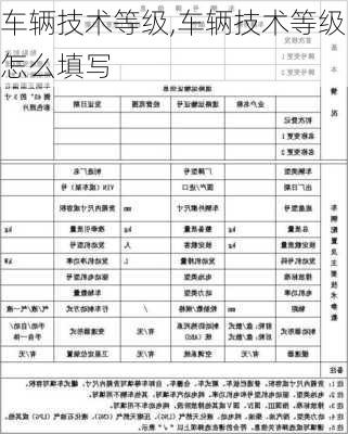 车辆技术等级,车辆技术等级怎么填写