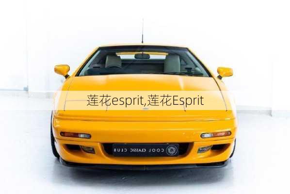 莲花esprit,莲花Esprit