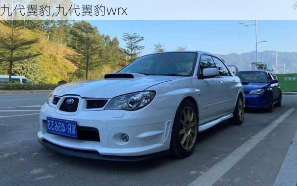 九代翼豹,九代翼豹wrx