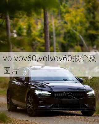 volvov60,volvov60报价及图片