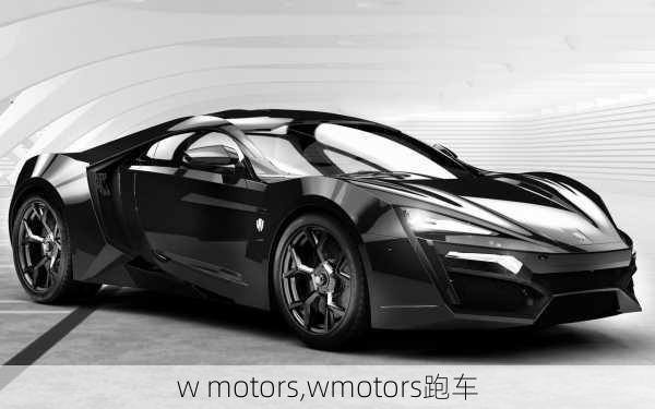 w motors,wmotors跑车