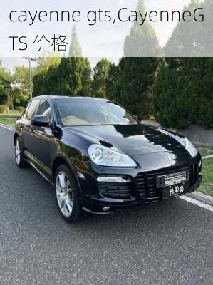 cayenne gts,CayenneGTS 价格