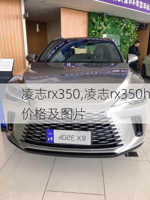 凌志rx350,凌志rx350h价格及图片