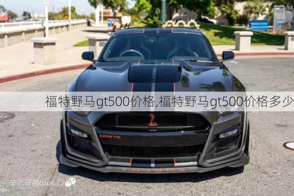 福特野马gt500价格,福特野马gt500价格多少