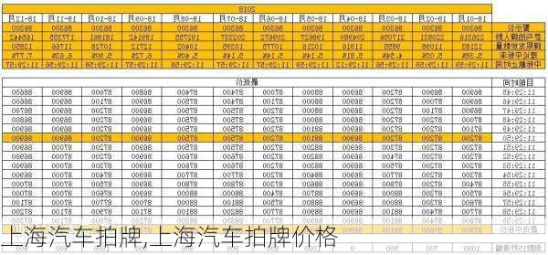 上海汽车拍牌,上海汽车拍牌价格