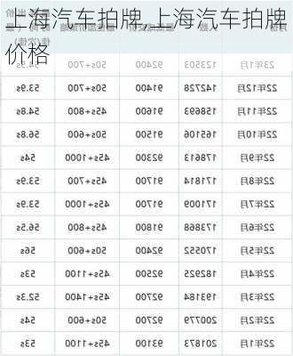 上海汽车拍牌,上海汽车拍牌价格