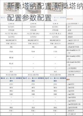 新桑塔纳配置,新桑塔纳配置参数配置