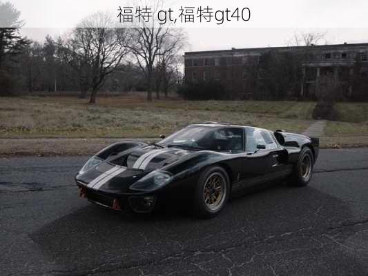 福特 gt,福特gt40