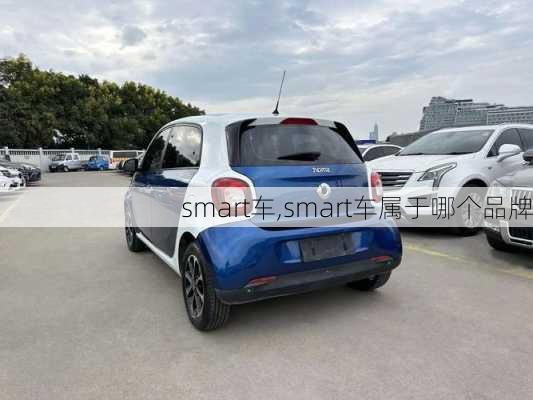 smart车,smart车属于哪个品牌