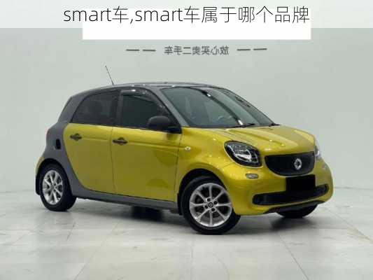 smart车,smart车属于哪个品牌