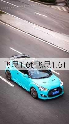 飞思1.6t,飞思1.6T