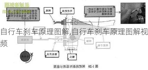 自行车刹车原理图解,自行车刹车原理图解视频