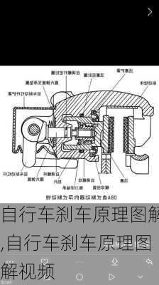 自行车刹车原理图解,自行车刹车原理图解视频