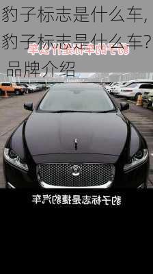 豹子标志是什么车,豹子标志是什么车? 品牌介绍