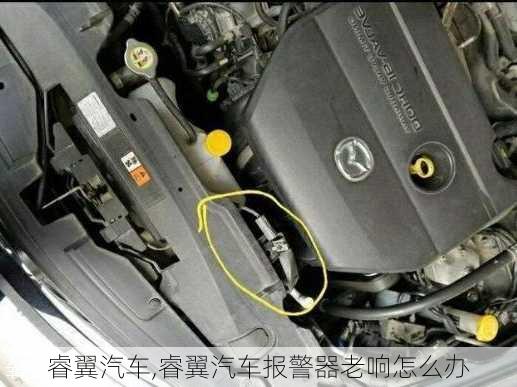 睿翼汽车,睿翼汽车报警器老响怎么办