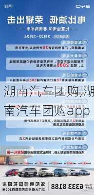 湖南汽车团购,湖南汽车团购app