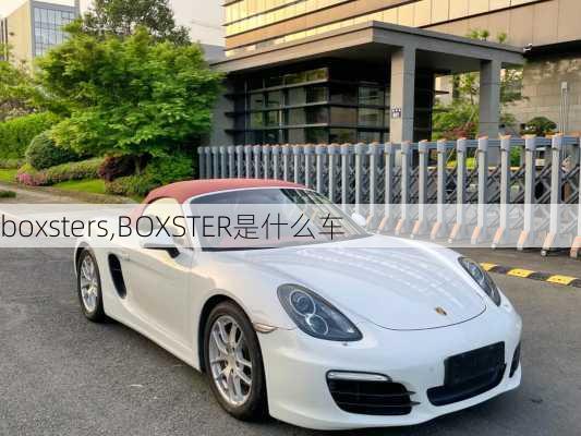 boxsters,BOXSTER是什么车