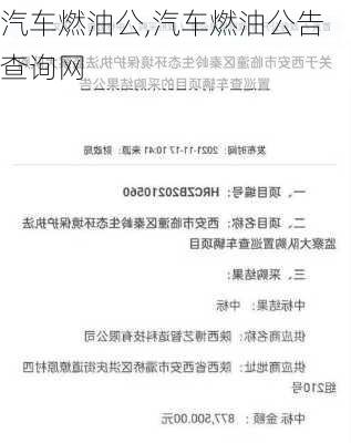 汽车燃油公,汽车燃油公告查询网