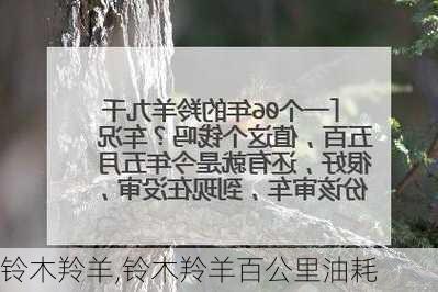 铃木羚羊,铃木羚羊百公里油耗