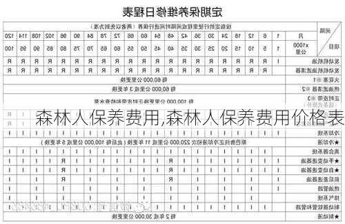 森林人保养费用,森林人保养费用价格表